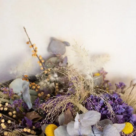 3 Vallees 4* Валь-Торанс